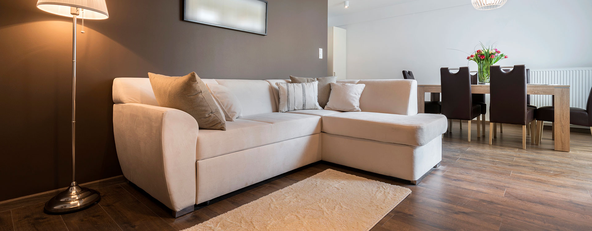 Bona Painting Banner